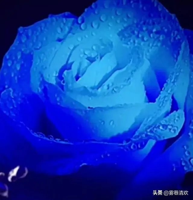 暗恋一人30年，是应该表白还是继续把爱放在心底？