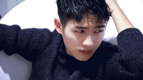 环保大使是哪位明星