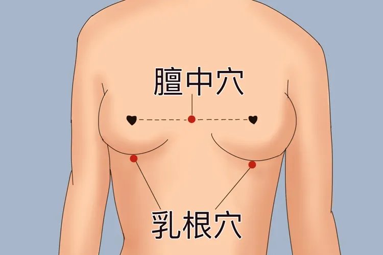 乳根的准确位置怎么找