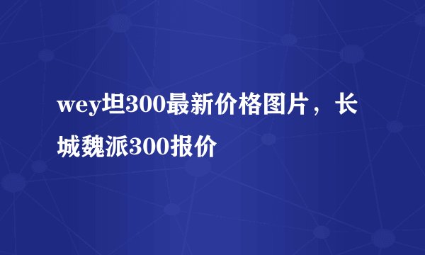 wey坦300最新价格图片，长城魏派300报价
