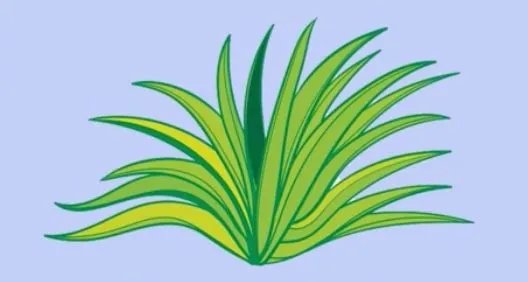 小的拼音怎么读