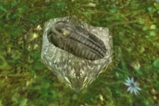 给小家伙们乐一乐 在哪里交任务