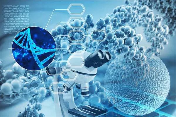 精准医疗包括哪些内容