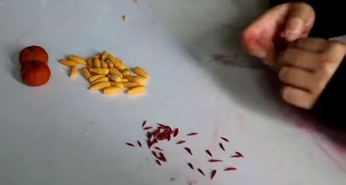 回忆杀！10斤巧克力神还原《武林外传》小院，女孩为何想到做这件事？