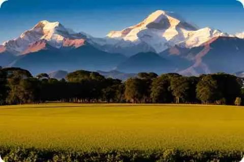 国防建设是什么?