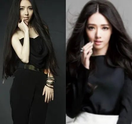 郭碧婷抱猫咪赏樱显惬意 长发及腰背影背影诱人