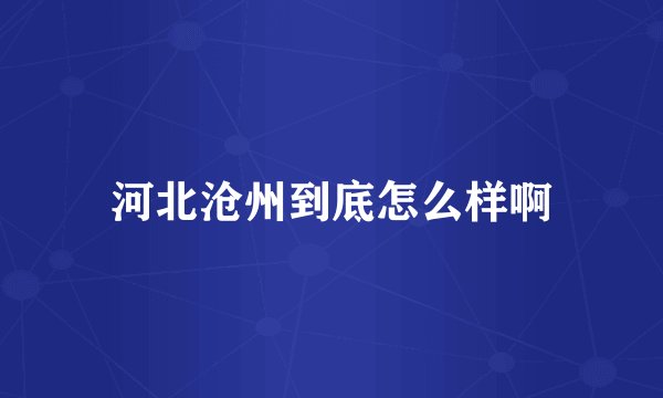 河北沧州到底怎么样啊
