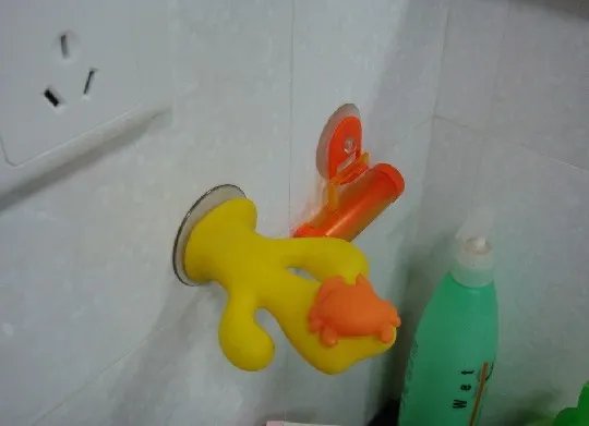 一个绚丽一个冷静 各展所长打造我的双卫之家