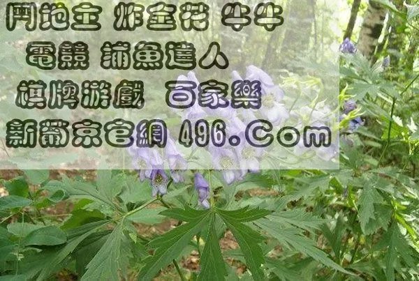 南通长牌是怎样算胡?
