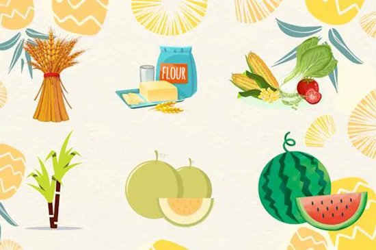 碳水化合物是什么