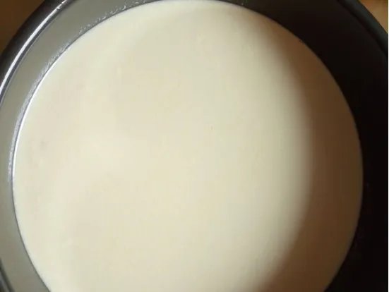 小米面发糕，小米发糕怎么做才松软，纯小米发糕的做法