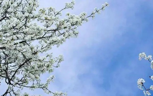 锲而不舍是什么意思