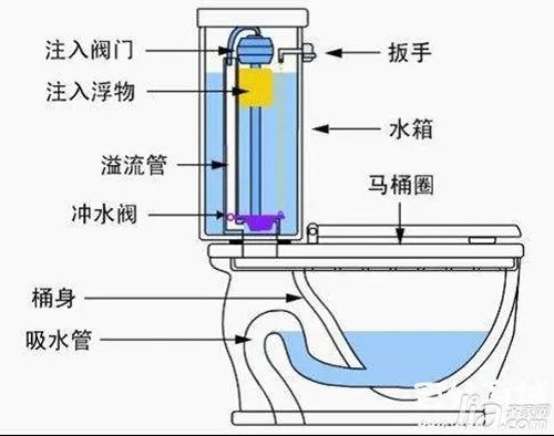 马桶的结构图 马桶堵塞原因分析