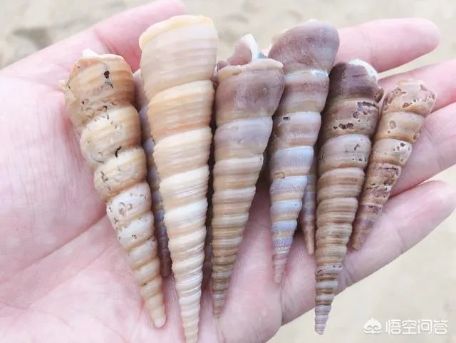 福建最受驴友欢迎的景点有哪些？