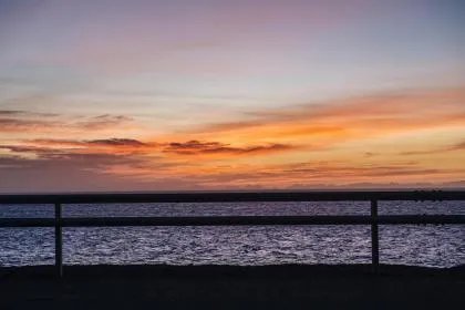 望天吼和貔貅一样吗？两者之间有什么区别？