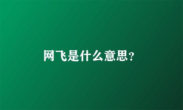 网飞是什么意思？