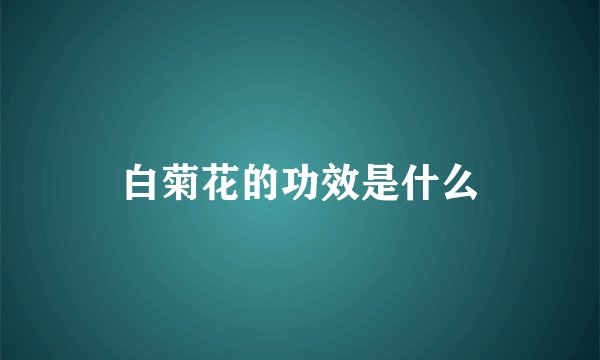 白菊花的功效是什么