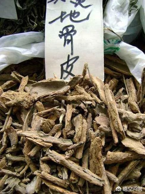 什么叫地骨皮？