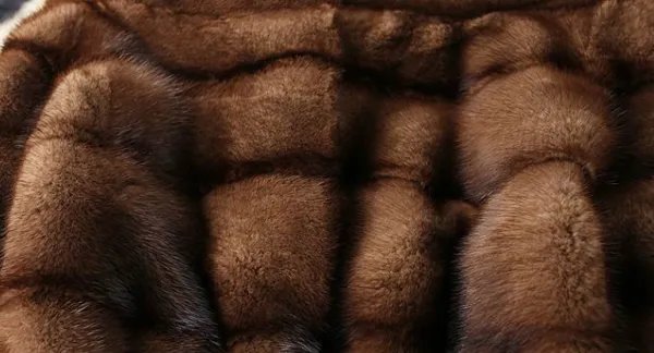 獭貂的肉好吃吗