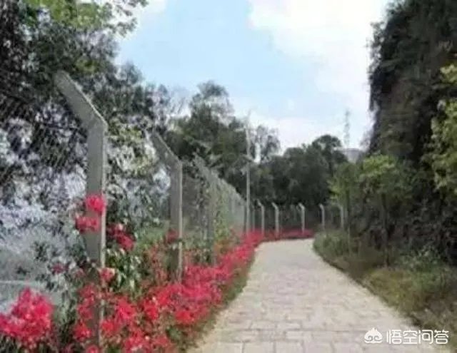 撤销深圳经济特区管理线，会给深圳带来哪些改变？