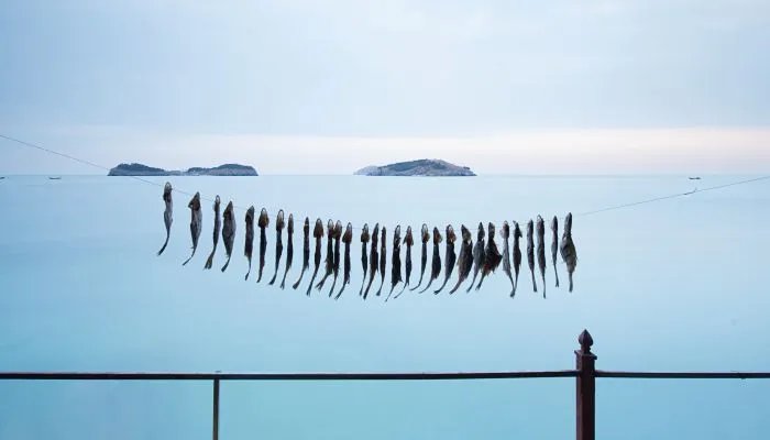 2021-2022年二九是几月几日 2021-2022年二九具体时间表