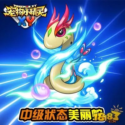 宠物小精灵XY笨笨鱼图鉴