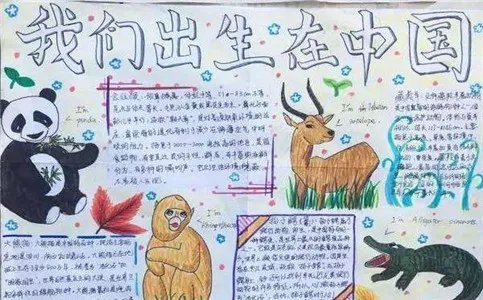 保护动物手抄报简单好看