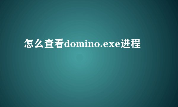 怎么查看domino.exe进程