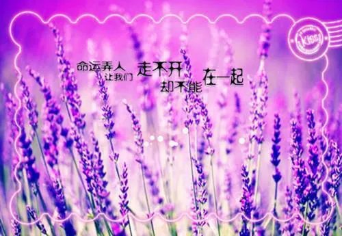 网名的测试打分