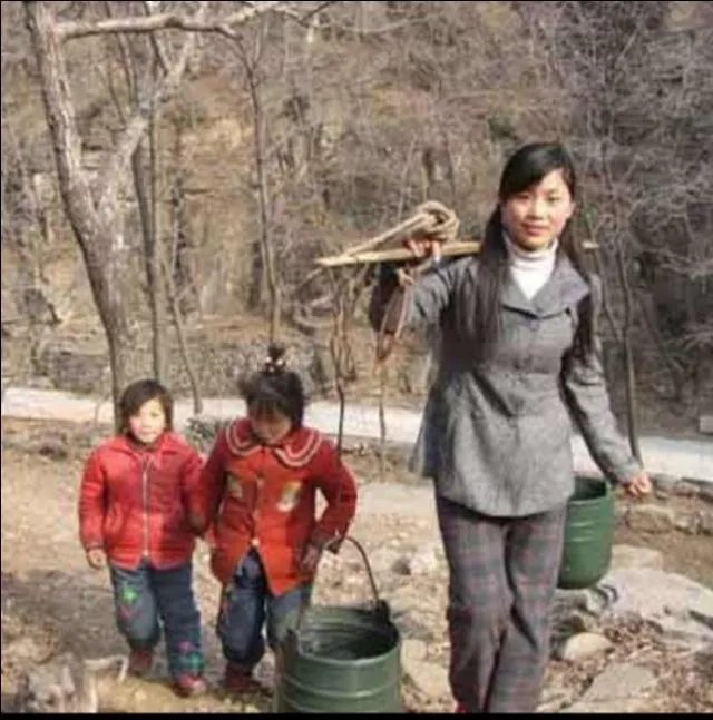 搞养殖业，养羊、养猪、养牛哪个好？为何？