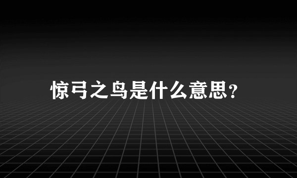 惊弓之鸟是什么意思？