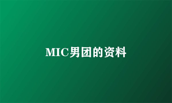 MIC男团的资料