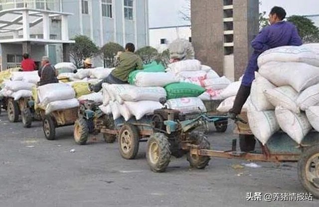 怎么防止地磅做手脚