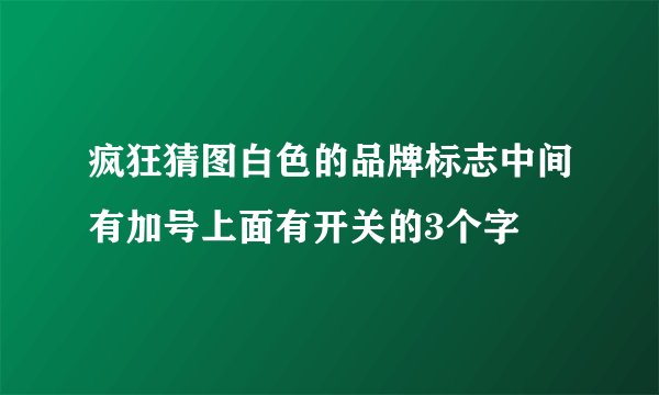 疯狂猜图白色的品牌标志中间有加号上面有开关的3个字