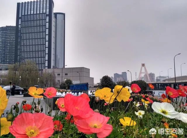 2022世乒赛为何花落成都？