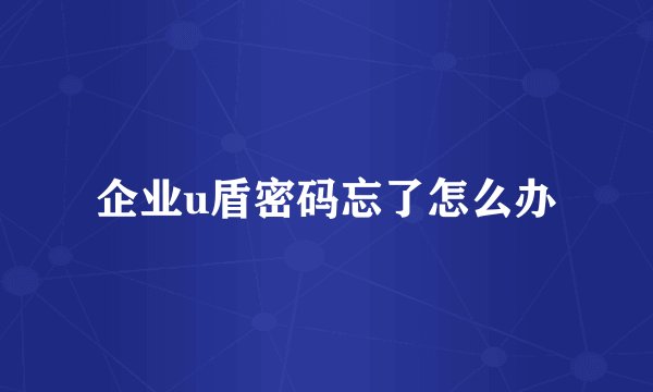 企业u盾密码忘了怎么办
