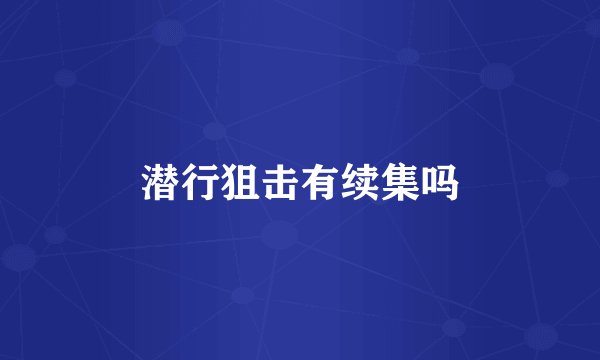 潜行狙击有续集吗