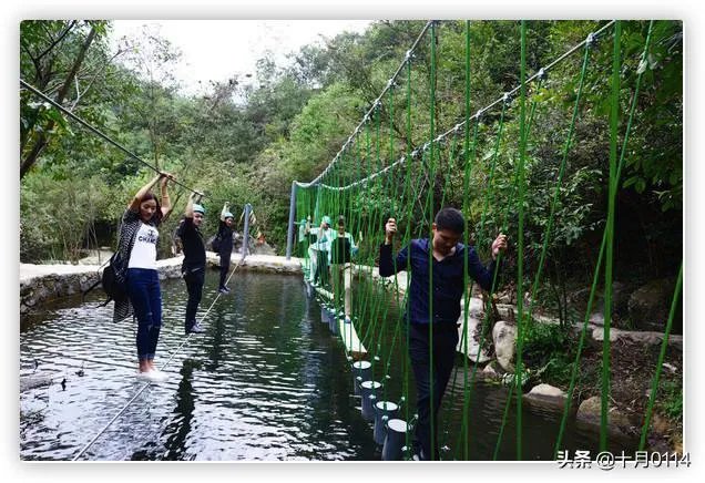 拓展训练有哪些项目?