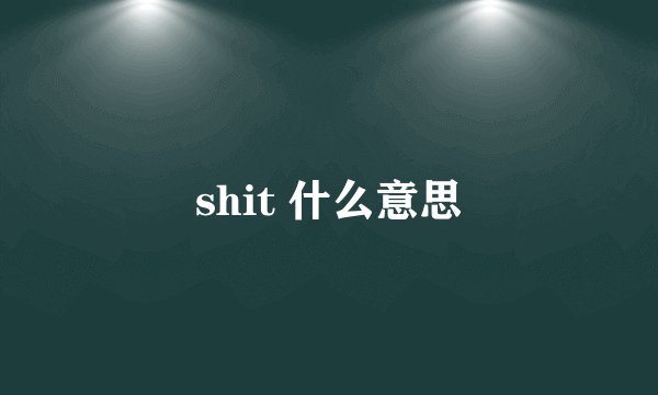 shit 什么意思