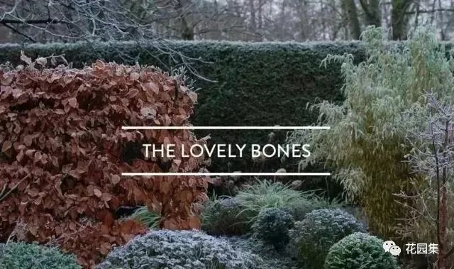 典型英式花园的精髓