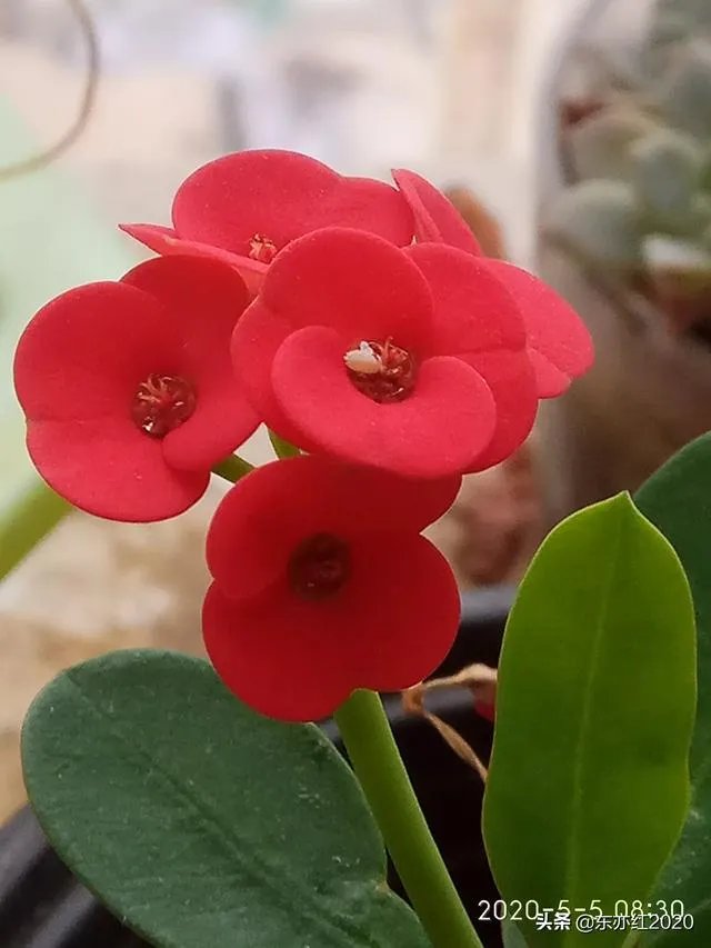 陕西疫情现在如何？