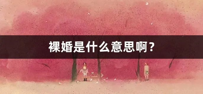 裸婚是什么意思啊？