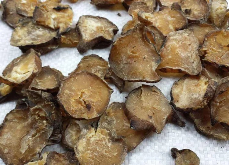 附子的功效与作用