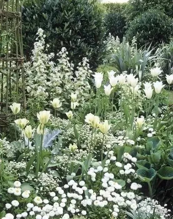 典型英式花园的精髓