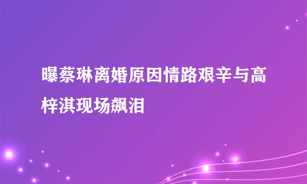 曝蔡琳离婚原因情路艰辛与高梓淇现场飙泪