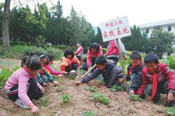 学校安排学生打扫厕所到底该不该?