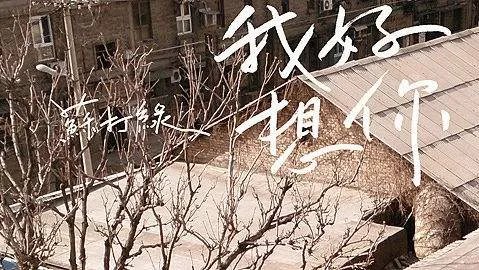 苏打绿的《我好想你》的歌词是什么意思呢？还有这首歌讲的是什么呢？