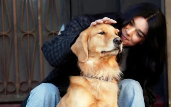 杭州一宠物狗晕车女子高速上下车遛狗,这样的行为有多危险?