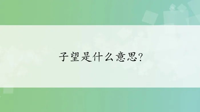 子望是什么意思？