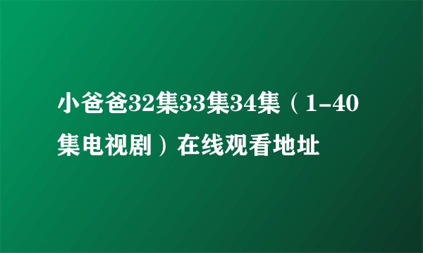 小爸爸32集33集34集(1-40集电视剧)在线观看地址